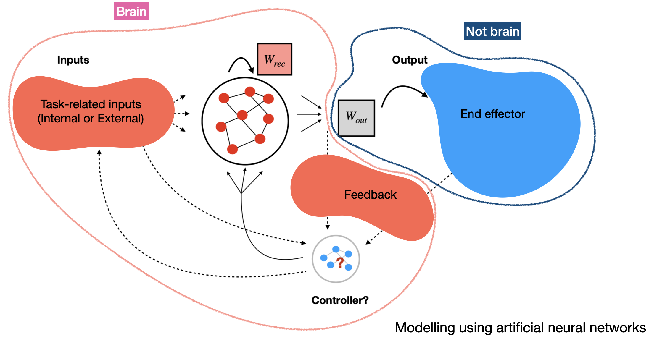 Schematic of feedback controller in brain controlling rnn and indirectly an effector