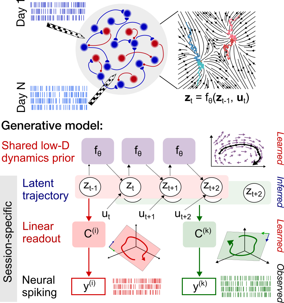 Probabilistic model to estimate latent neural trajectories and structure of latent dynamics from neural recordins across days. Dynamics are assumed to be shared across days but mapping from latents to single neural spiking is flexible across days.
