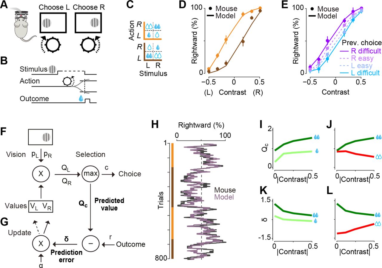 Q-learning with perceptual uncertainty scaling